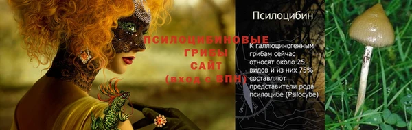 герыч Алзамай