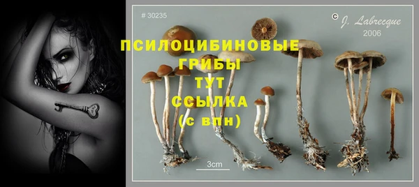 герыч Алзамай