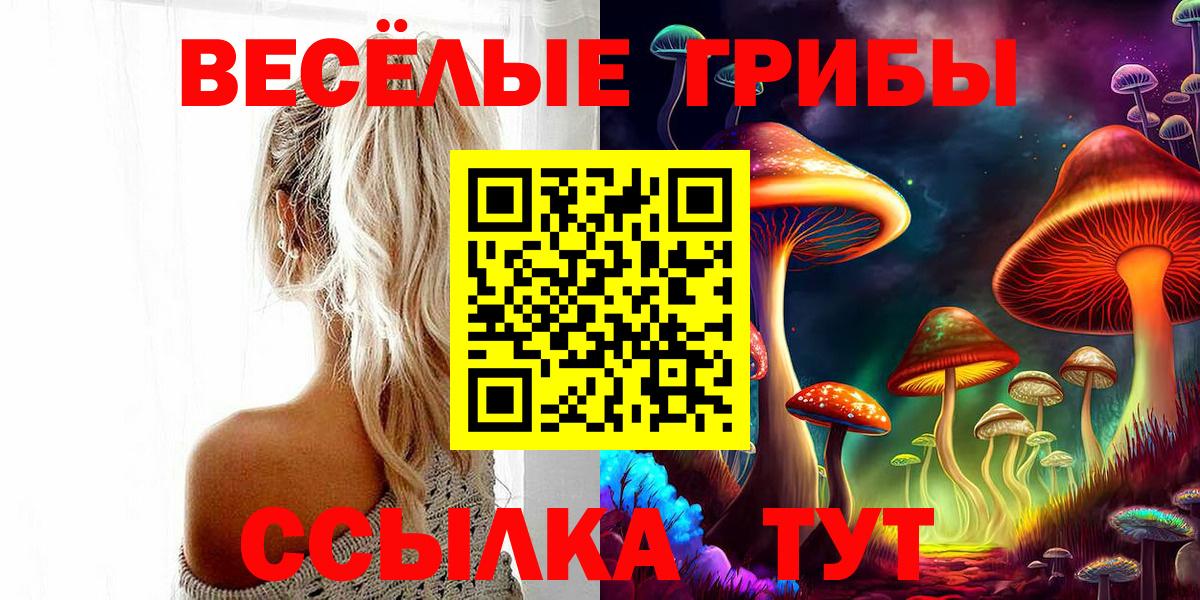 Галлюциногенные грибы Magic Shrooms Нововоронеж