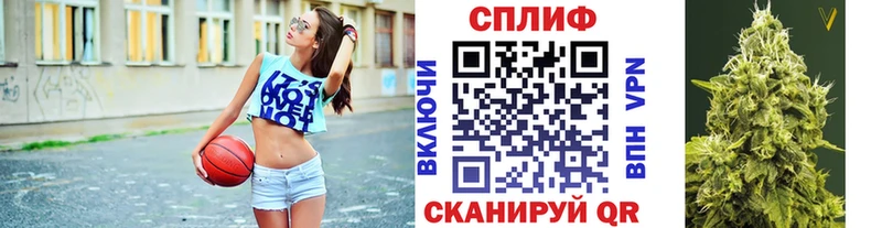 купить закладку Нововоронеж omg онион Каннабис VHQ